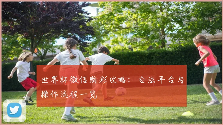 世界杯微信购彩攻略：合法平台与操作流程一览