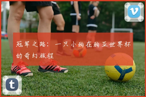 冠军之路：一只小狗在狗亚世界杯的奇幻旅程