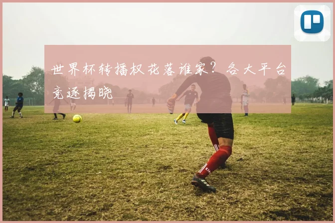 世界杯转播权花落谁家？各大平台竞逐揭晓